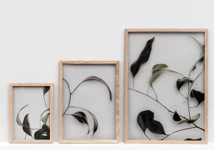 moebe, floating leaves