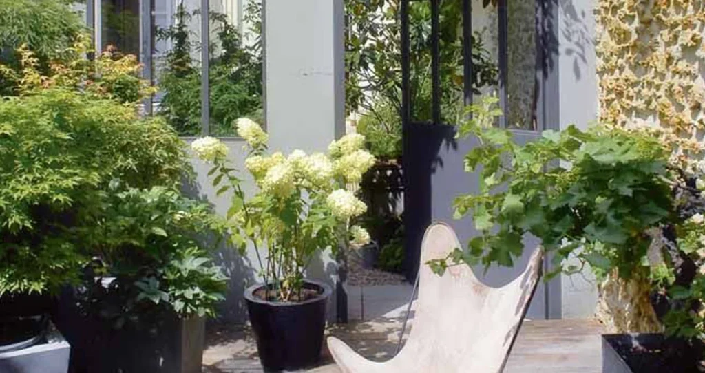 aménager son patio avec de la verdure