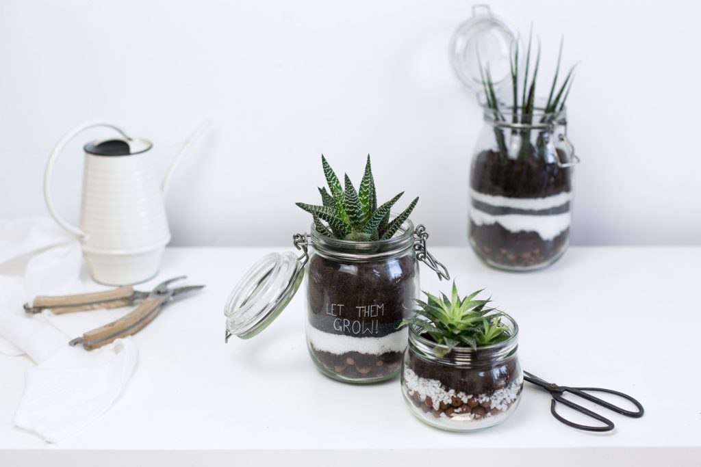 Terrarium - La délicate parenthèse - Notes de Styles