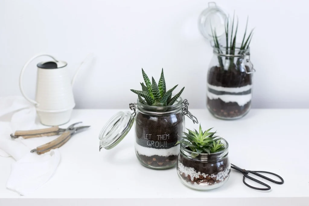 Terrarium - La délicate parenthèse - Notes de Styles