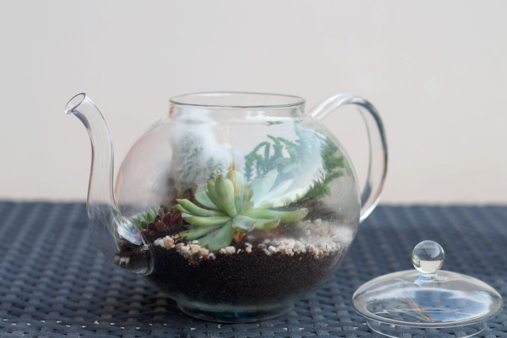 Terrarium théière - hemaposesesvalises.fr - Notes de Styles