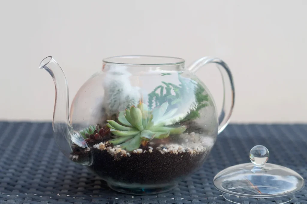 Terrarium théière - hemaposesesvalises.fr - Notes de Styles
