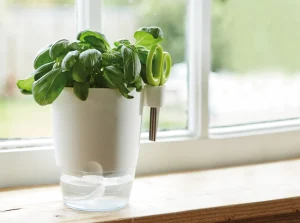 Elho Brussels, pot pour plantes aromatiques