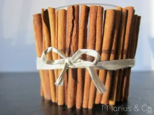Photophore cannelle