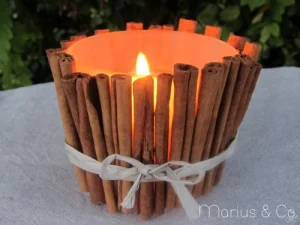 Photophore cannelle