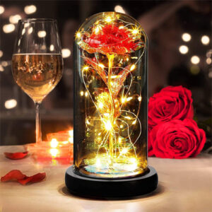 cloche en verre : Amazon