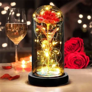cloche en verre : Amazon