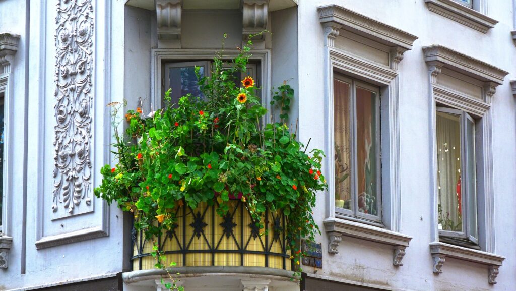 rafraîchir balcon plantes