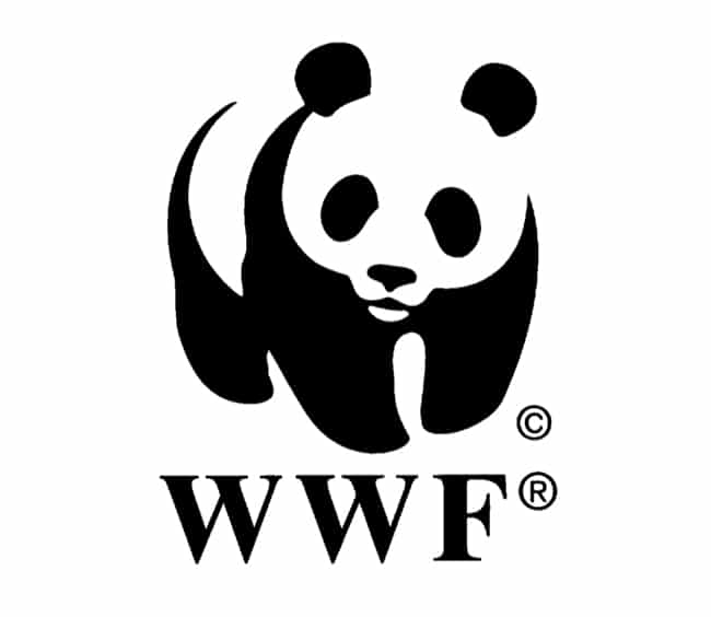 Notes de Styles soutient WWF