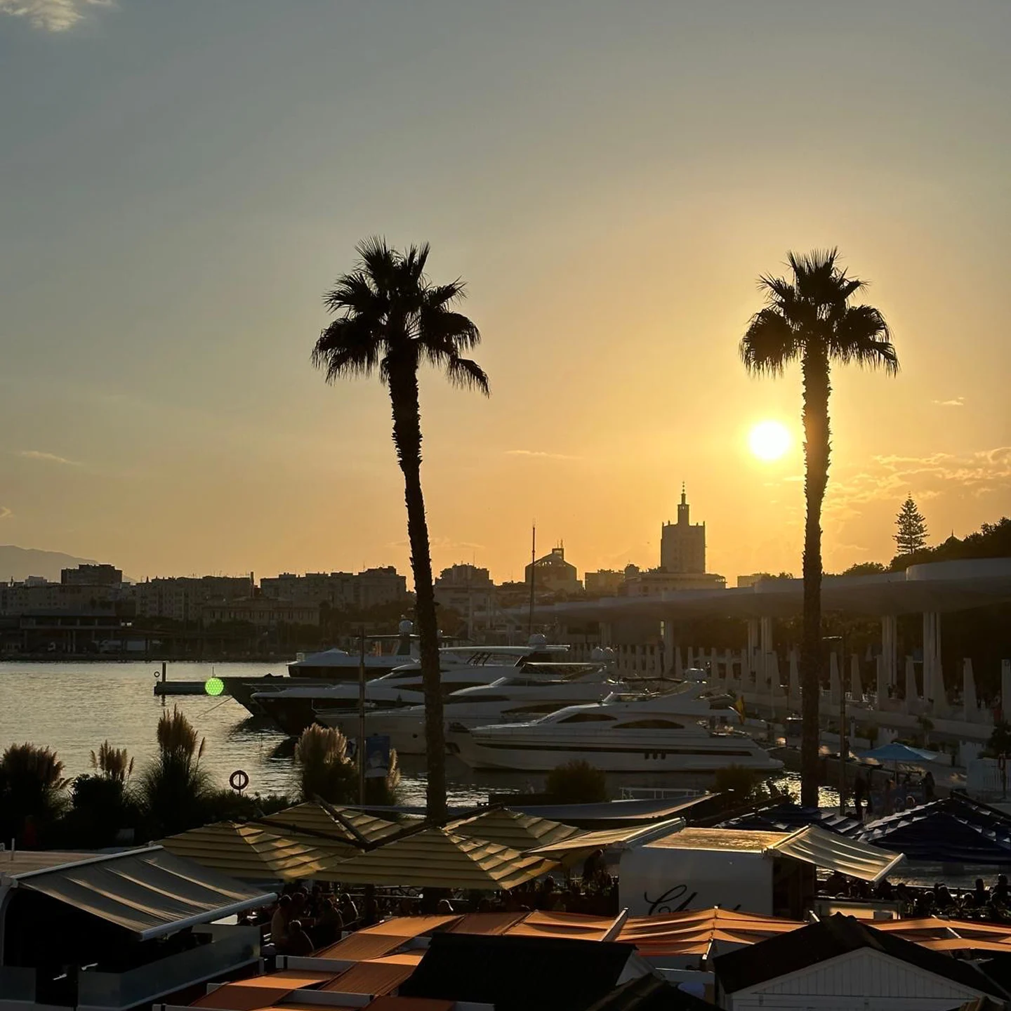 Malaga 2024